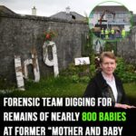 Forensic team digging for remains of nearly 800 babies at former ‘mother and baby home’