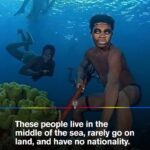 These Asian Sea Nomads Are the First Known Humans to Have a Genetic Adaptation to Diving