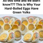 Here’s Why Your Egg Yolks Turn Green and How You Can Prevent It