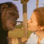 Linda saved his life – 18 years later, she ignores the warnings and the unimaginable happens